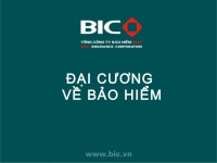 Đại cương về bảo hiểm slideshare