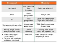 1.1 dunia melalui deria kita slideshare