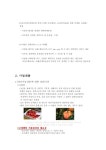 [10]빛트인