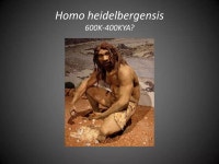 101 1 10-12 | PPTX 101 1 10-12