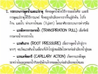 วิทย์เข้มข้น1 หน่วยที่ 1 | PDF วิทย์เข้มข้น1... 