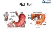 [1] 위십이지장구조기능,노드스트롬백화점20091019 slideshare