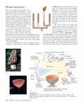 15 4 | PDF 15 4