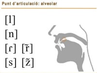 2.fonètica pp slideshare