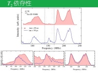 EuRu2P2のNMRによる研究