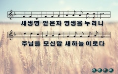 2017 11-12, 눅17장20-37절, 내 안에 임한 하나님 나라 slideshare