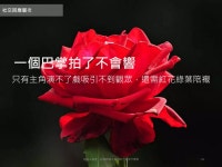 社群變現怎麼做 社群經理人暨內容行銷操作實戰 | PPTX 社群變現怎麼做 社群經理人暨內容行銷操作實戰 