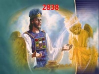 2300 days | PPTX 2300 days