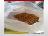 3c pan de nopal slideshare