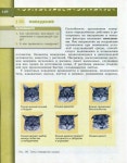 5 6 b-p