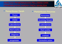 6 corelab | PDF 6 corelab