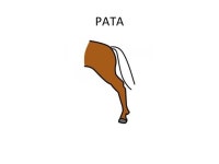 Añadirfonemas