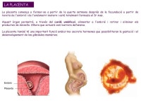 Aparell reproductor slideshare