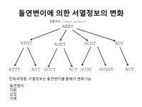 생물정보학 강의 2 slideshare