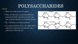 Biomolecules slideshare