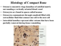 mbbs ims msu | PDF mbbs ims msu