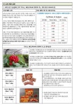 인삼열매, 홍삼순액 등을 판매하는 홍삼팜 C&c slideshare