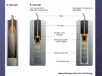 Chapter 6 | PPT Chapter 6