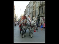 Cracovia 