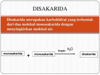 Disakarida slideshare