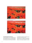 Ef lens work_book_8_en