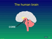 eom180.ppt