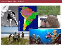 EVE161 Lecture 1 | PDF EVE161 Lecture 1