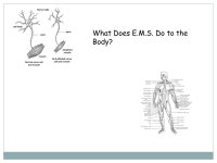 Faradism | PPT Faradism