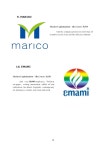 p&g project slideshare