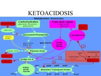 Gap Acidosis | PPT Gap Acidosis