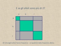 Genetica di Popolazioni 2 slideshare