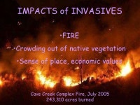 Grow Native!