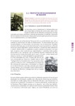 Historia ii slideshare