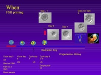 Iakentroivf slideshare