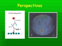 Inmunoterapia slideshare
