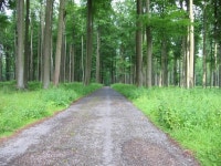 Klimaat en vegetatie slideshare