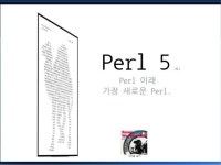 나의 Perl 투신기: 보다 나은 Perl 개미지옥을 위하여