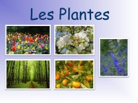 Lesplantasv1 slideshare