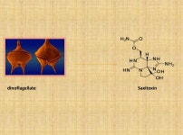 Marine drugs[1] | PPT Marine drugs[1]