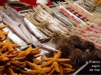 Michel tapas en_pekin