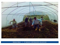 Seracılık slideshare