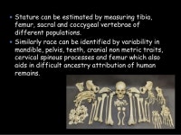 Forensic Anthrpology