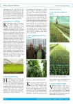 New Age Protected Cultivation