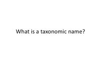 Open taxonomy slideshare