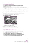 P kn kls 4 (1) slideshare