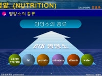 영양과 식이 파트1 slideshare