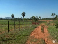 Paraguay