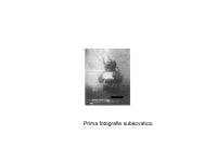 Prima Fotografie slideshare