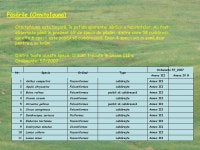 Project area slideshare