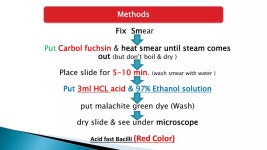 Tuberclasis | PPTX Tuberclasis
